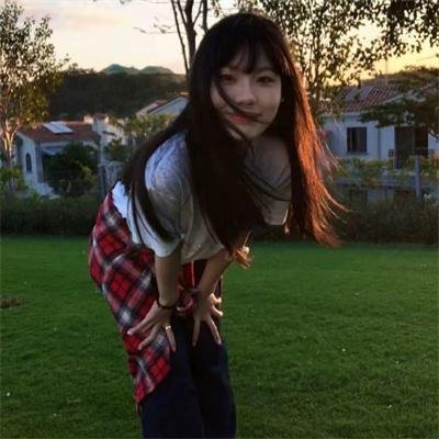 不进花瓶的洋甘菊